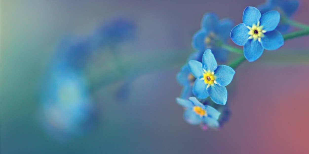 ActuallyMariel's profile banner image