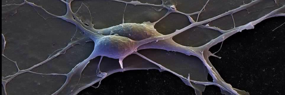 ƔƖƝƇЄƝƬ ƛԼԼЄƝ banner