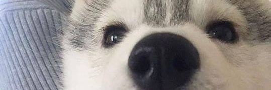 KendallRosee's profile banner image
