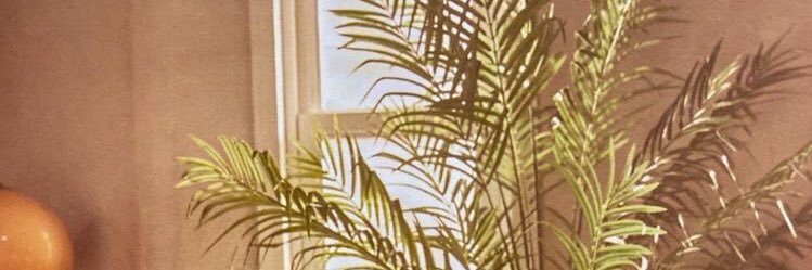 rosciee's profile banner image