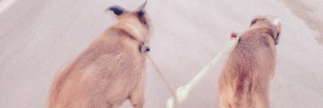 demseymae's profile banner image