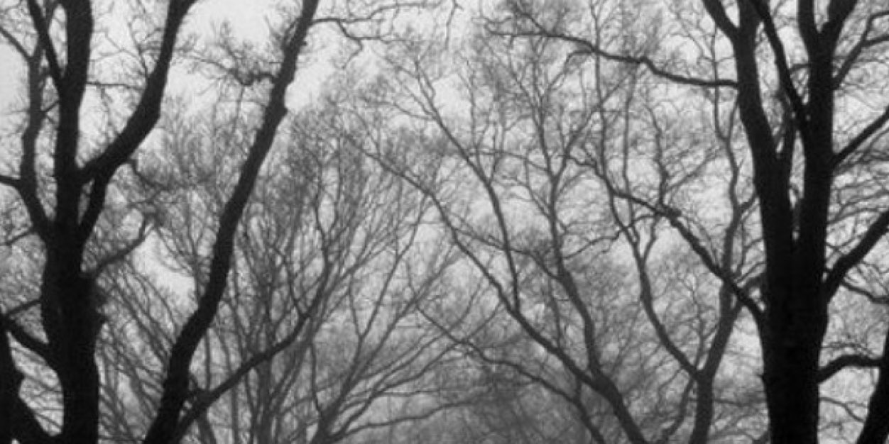 TylerBennettNYC's profile banner image