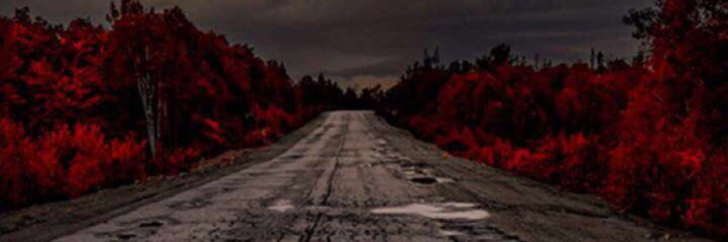 acsemosg's profile banner image