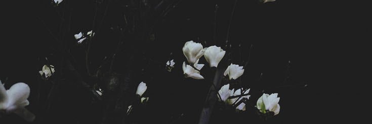 TimothyArboga's profile banner image