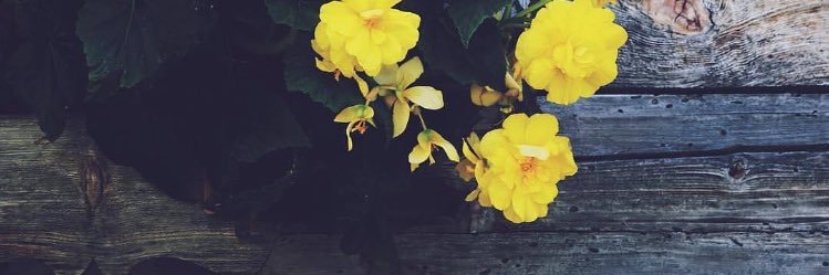 AliaalGarn's profile banner image