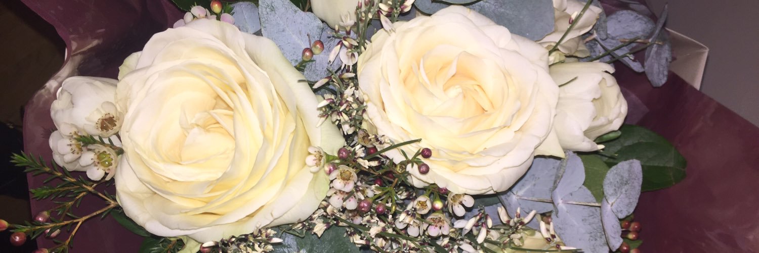 Luana_Pittella's profile banner image