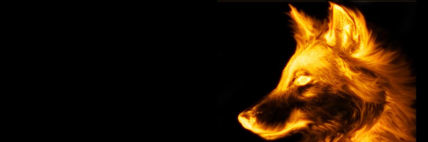 xCinderfox's profile banner image