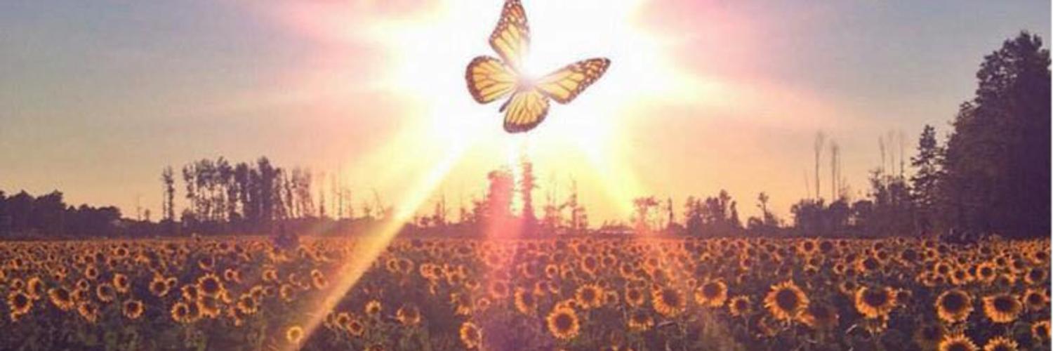 scarlet_846's profile banner image