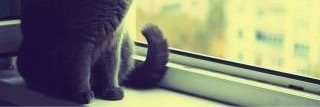 ____333_22's profile banner image