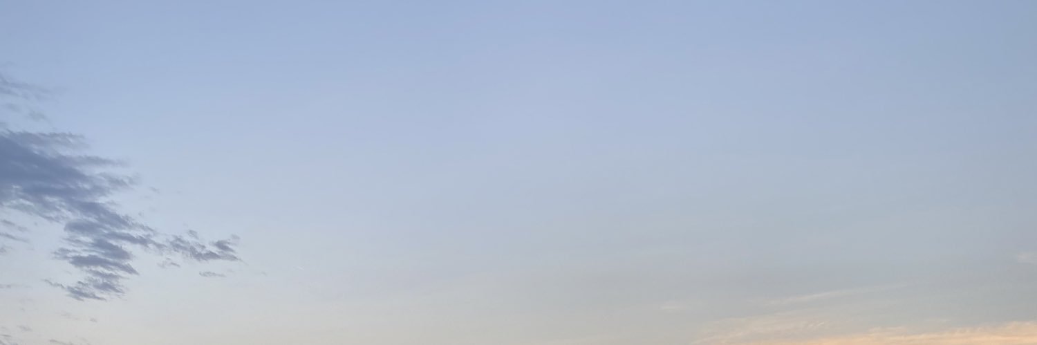 Sofia Kabbej banner