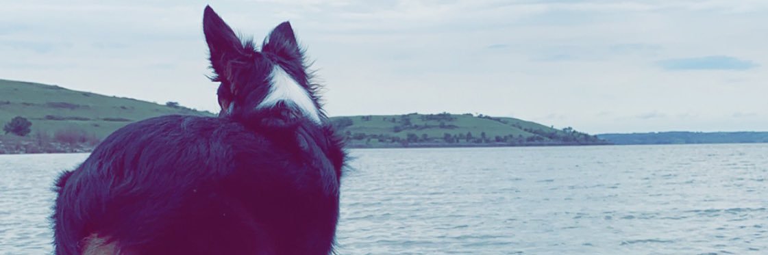 BlazeHobbs's profile banner image