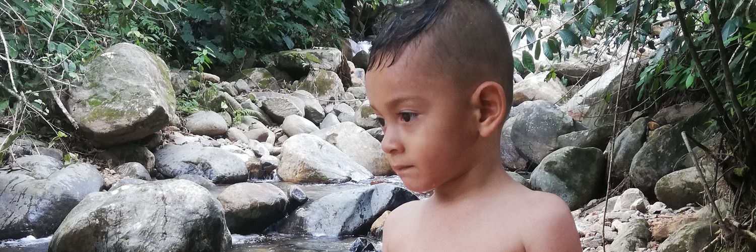 andrea niño banner