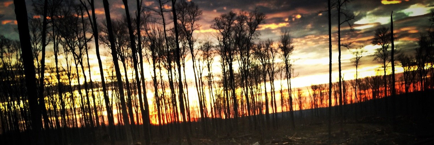 evanjsmith112's profile banner image