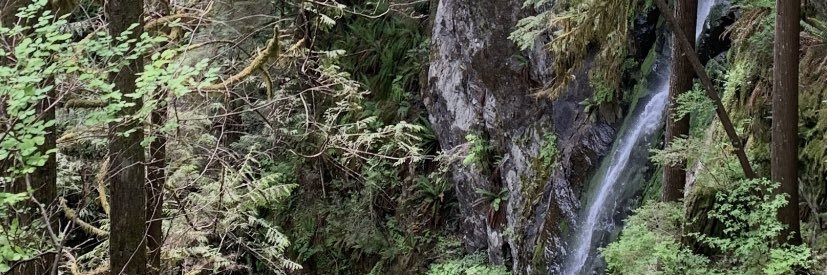 IssOrcamane's profile banner image