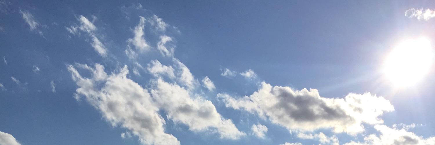 VeronicaLoBue's profile banner image