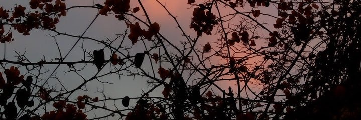 CamiiTorres1's profile banner image