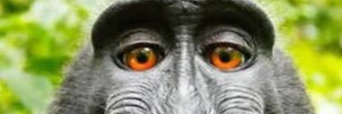 DJBounce_Aus's profile banner image