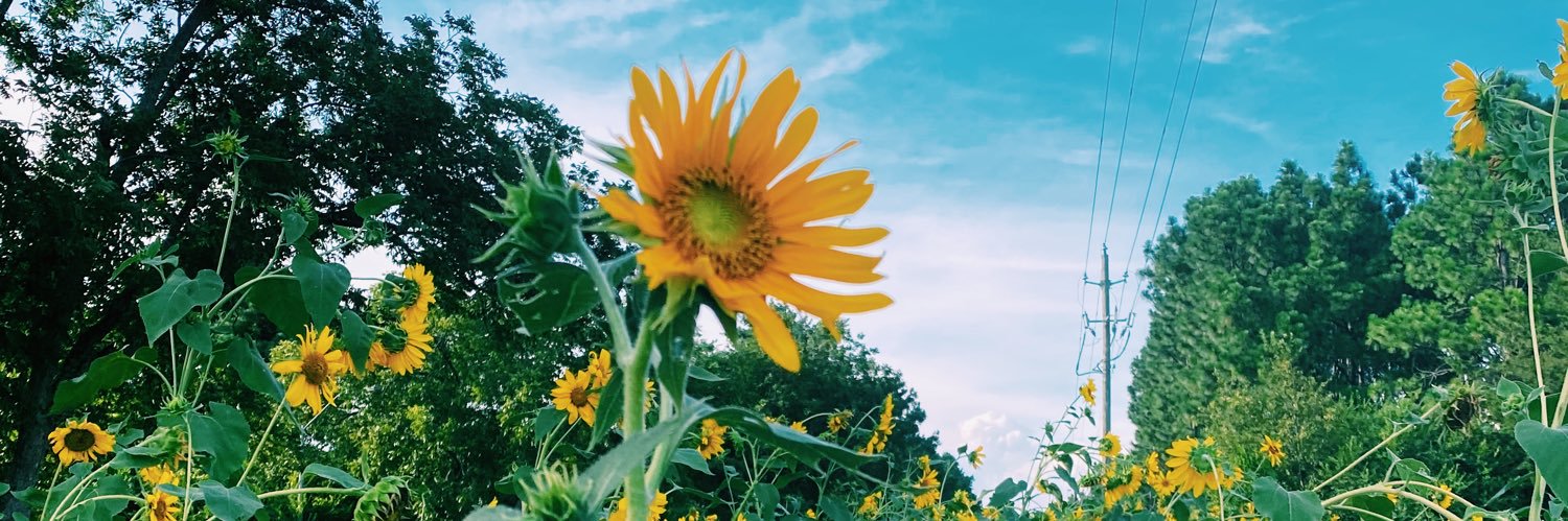 JessicaLPGA's profile banner image