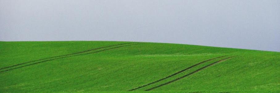 edgeben's profile banner image