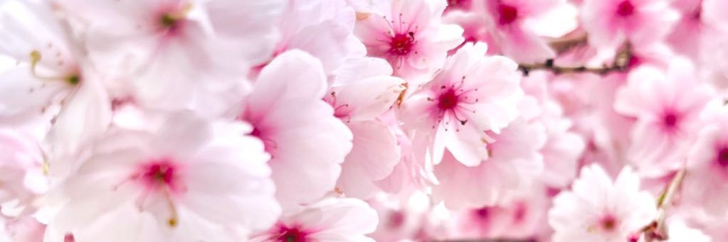 さとう banner