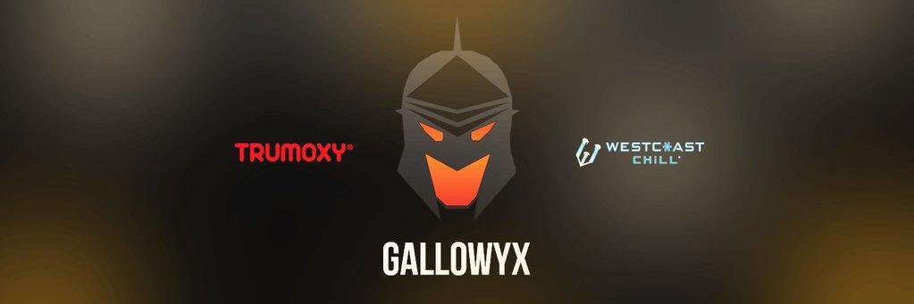 Gallowyx's profile banner image