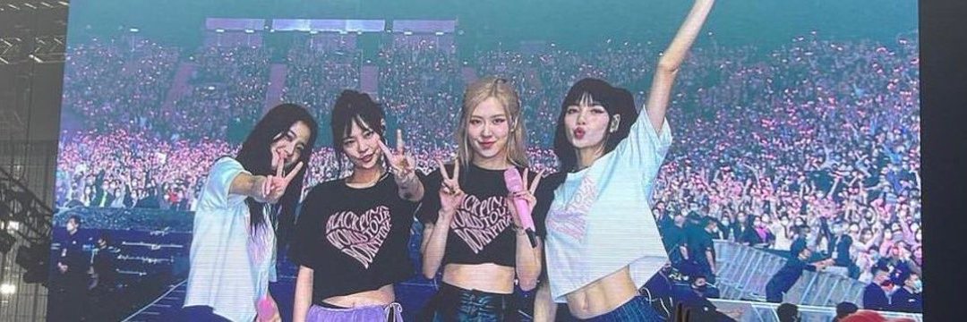 RL🐣 banner