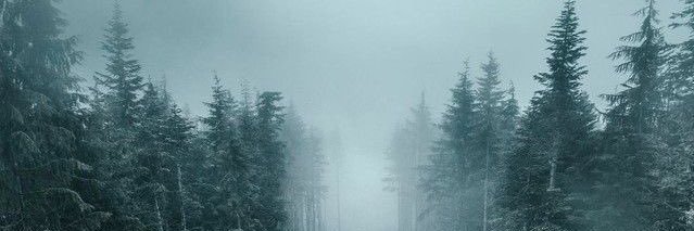 washdout's profile banner image