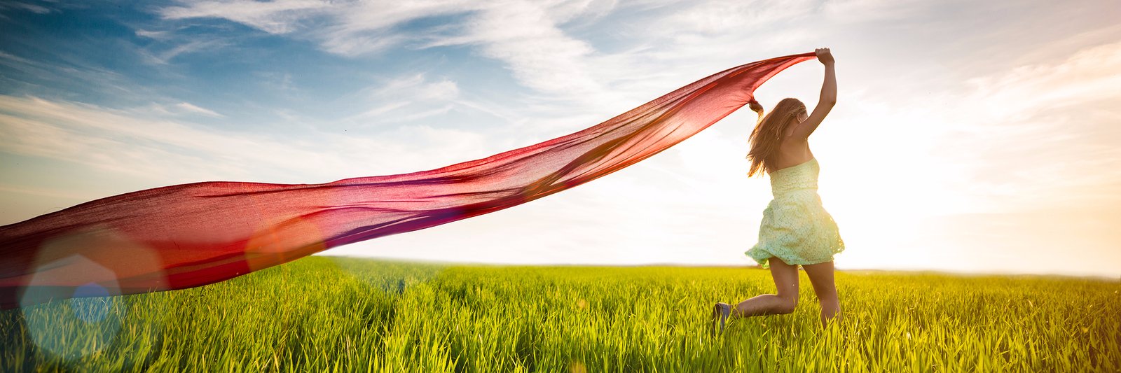 ClearFusionCMS banner