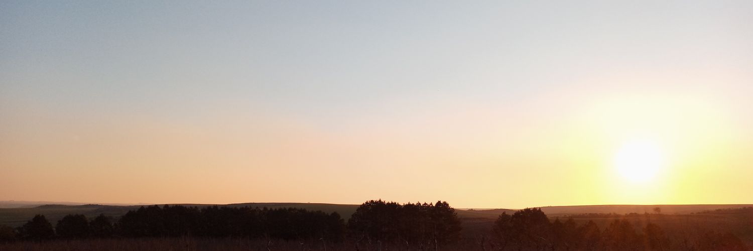 NPadilla736's profile banner image