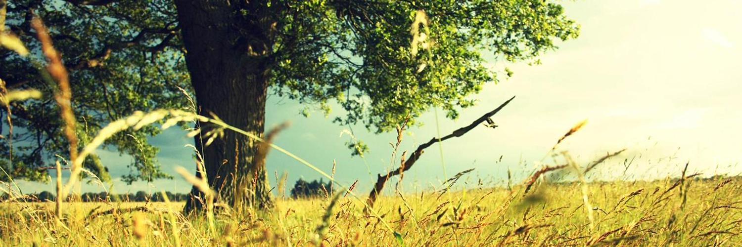 Dr Jarrod Bradley (DrJarrodBradley) Twitter