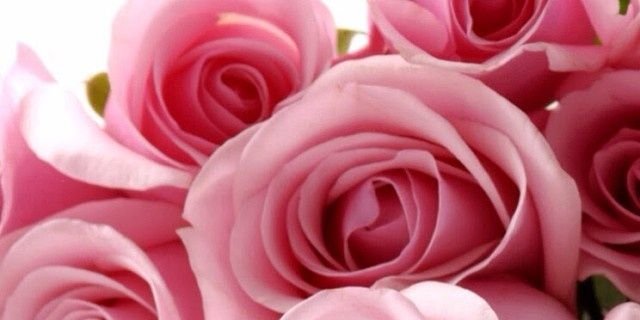 MMonatoleeb's profile banner image