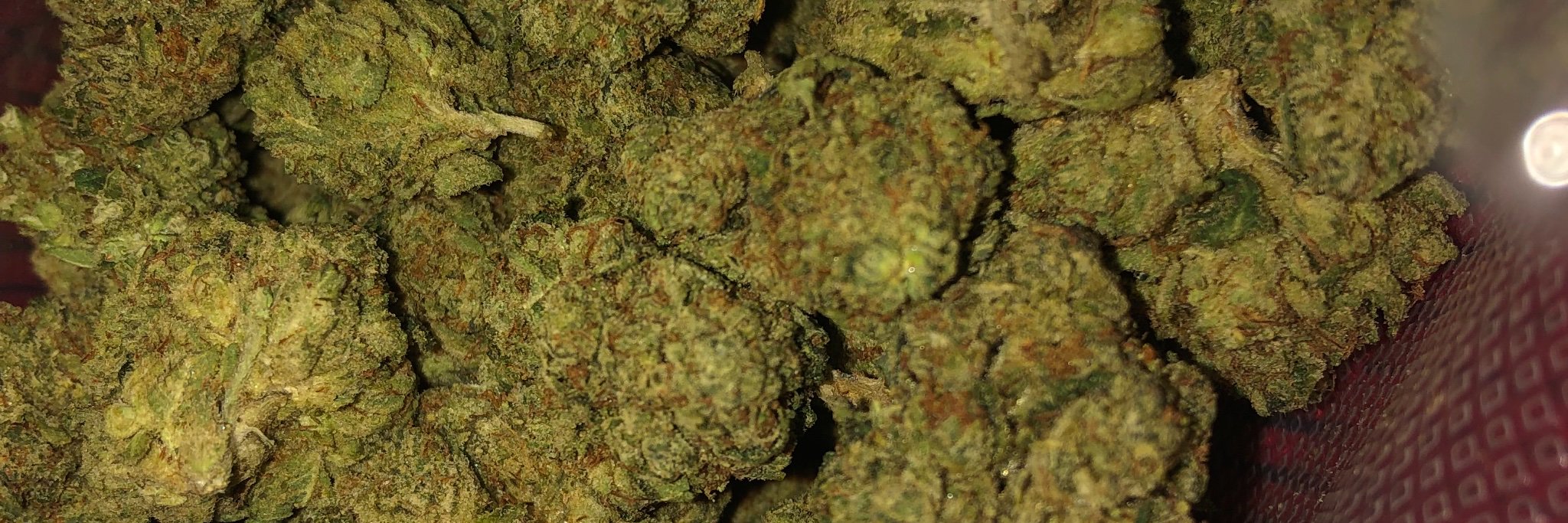 TheRealKuz1's profile banner image