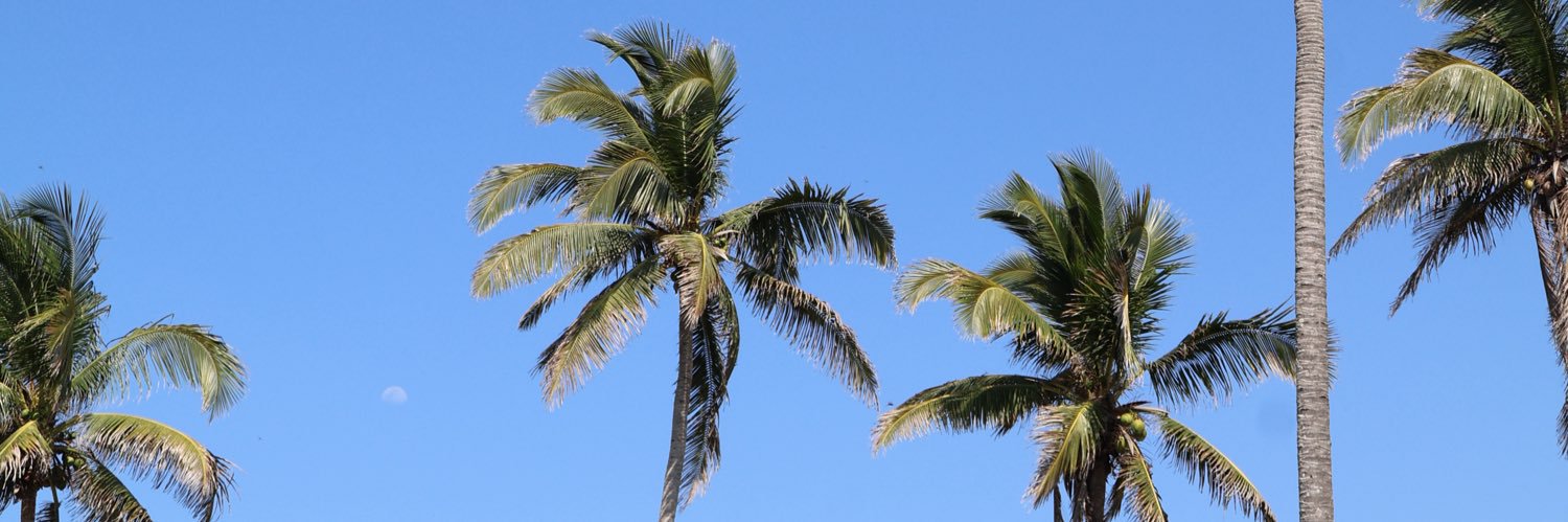 OmarMFerrer's profile banner image
