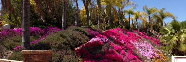 FameRee Profile Banner