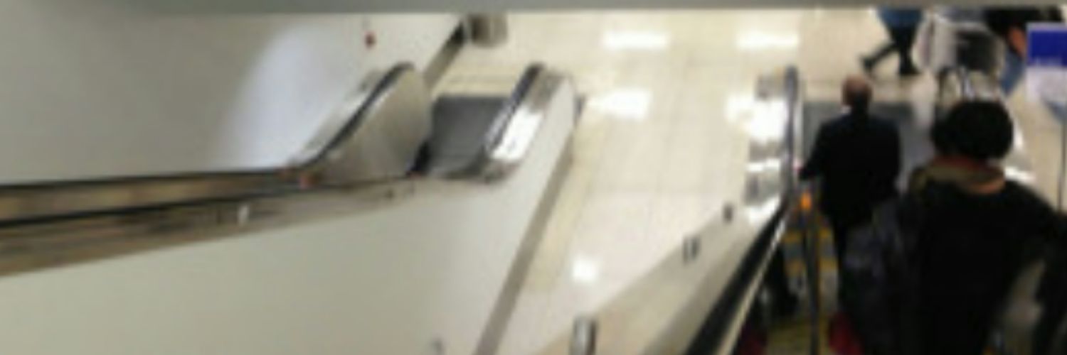 theycallmerauxl's profile banner image