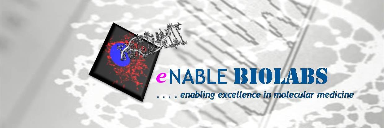 enablebiolabs's profile banner image