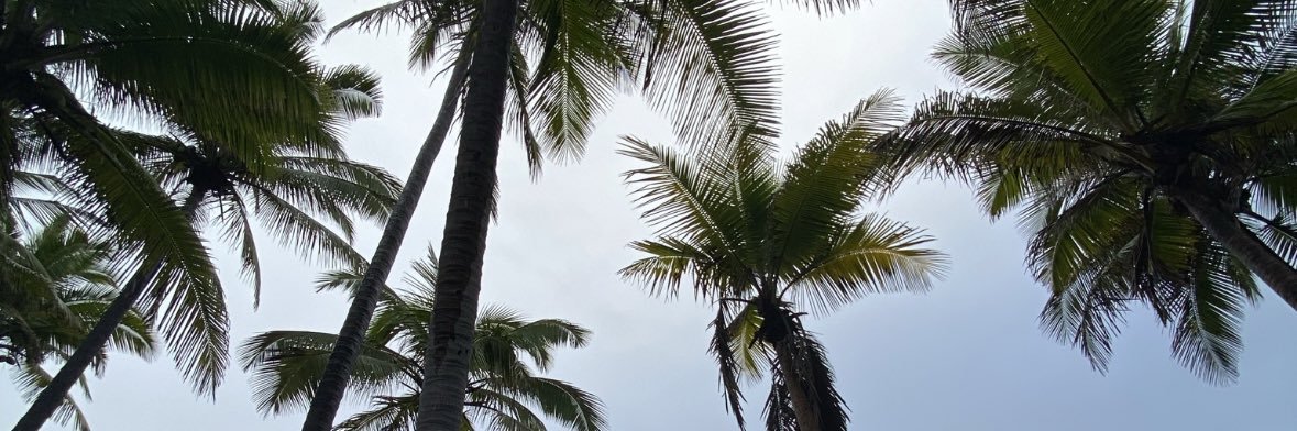 gabalongading's profile banner image