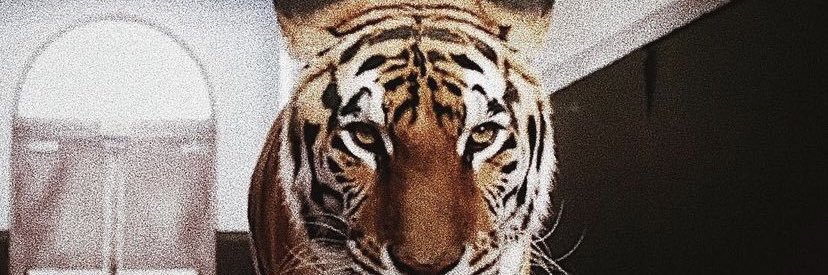 Julio1opez's profile banner image