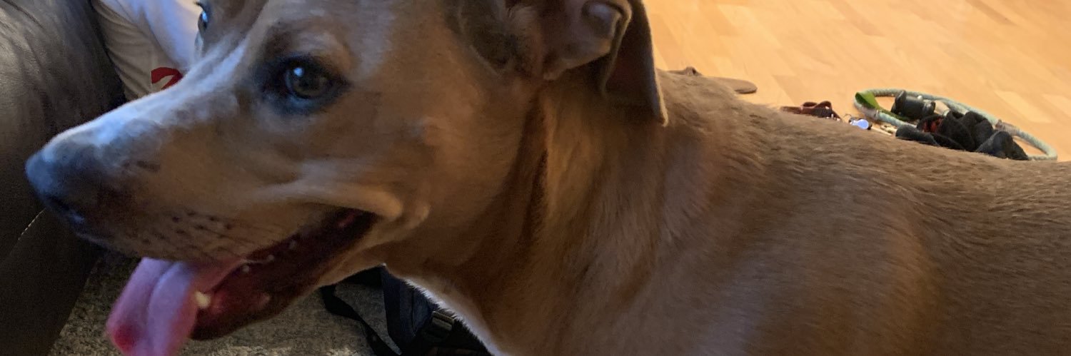 _carllama's profile banner image