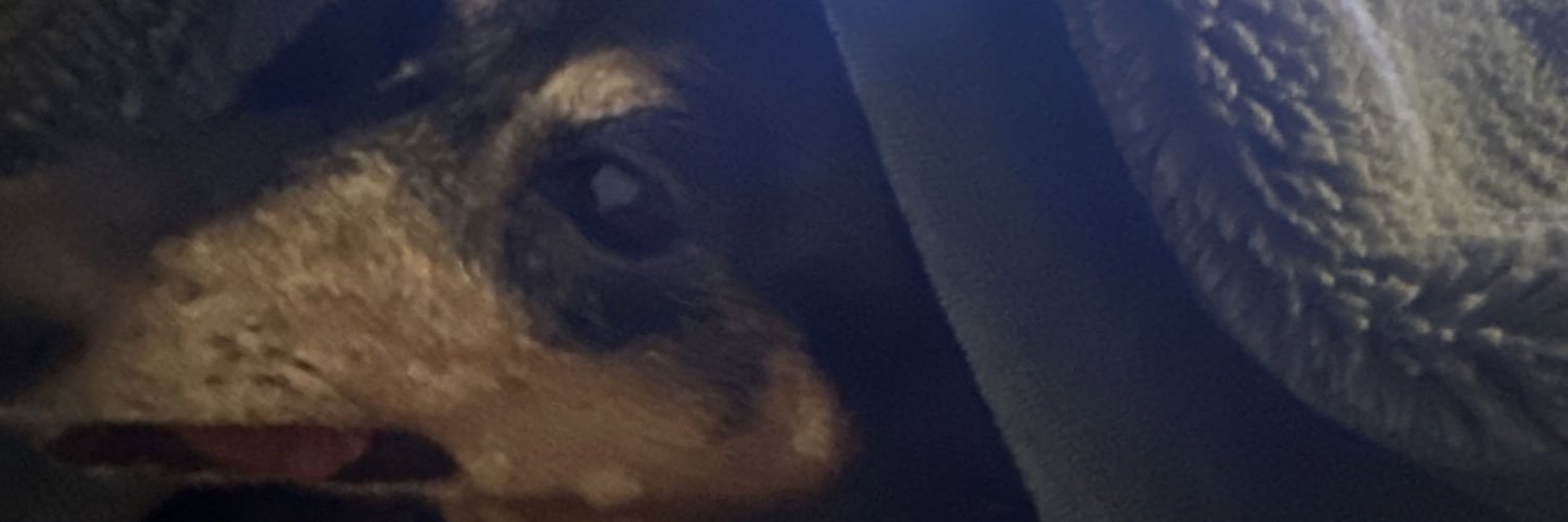 AelfyW's profile banner image