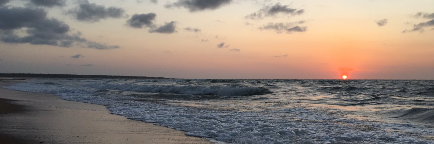 Tom van de Vusse banner