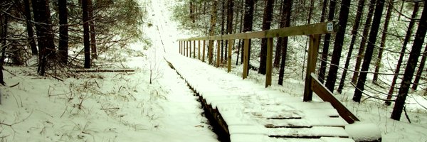 HeidiTuron Profile Banner