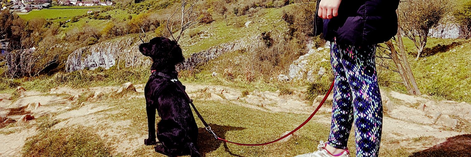 McraeNeil's profile banner image
