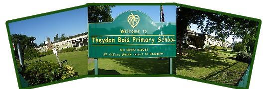 Theydon Bois Primary banner