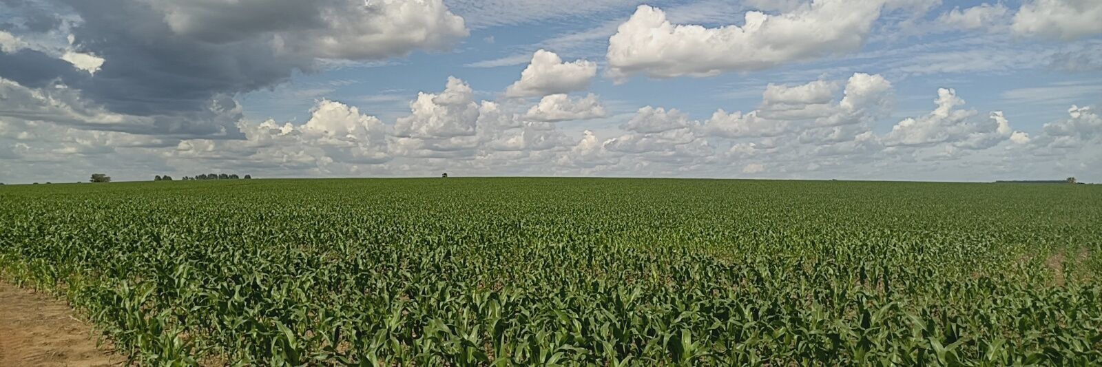 northpointagro's profile banner image