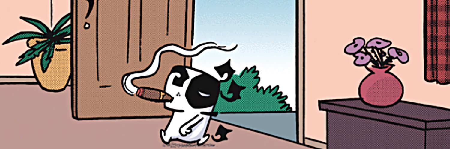 chefshwess's profile banner image