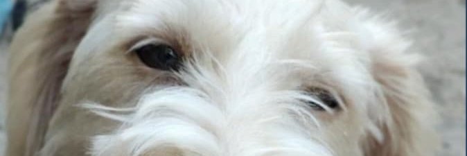 clits_official's profile banner image