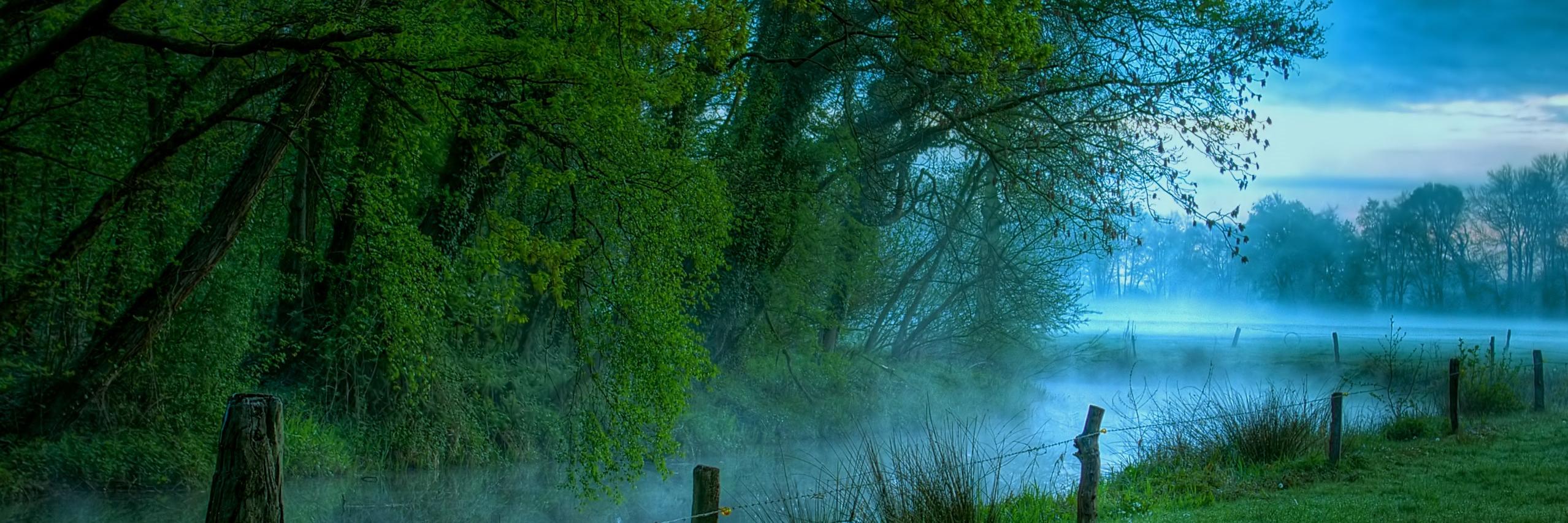 FadhilaMecca's profile banner image
