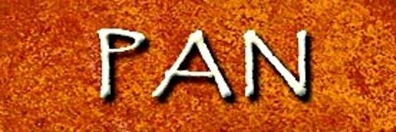 PAN_reality banner