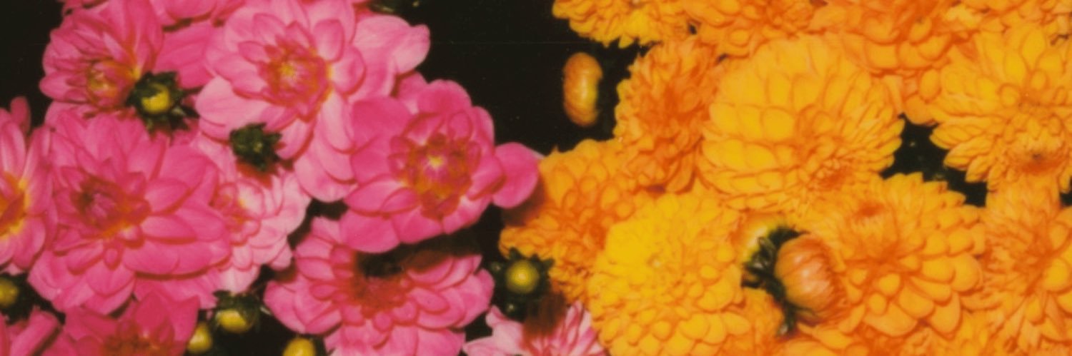 axoandco's profile banner image